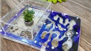 Vlastnosti šírenia stepného mravca